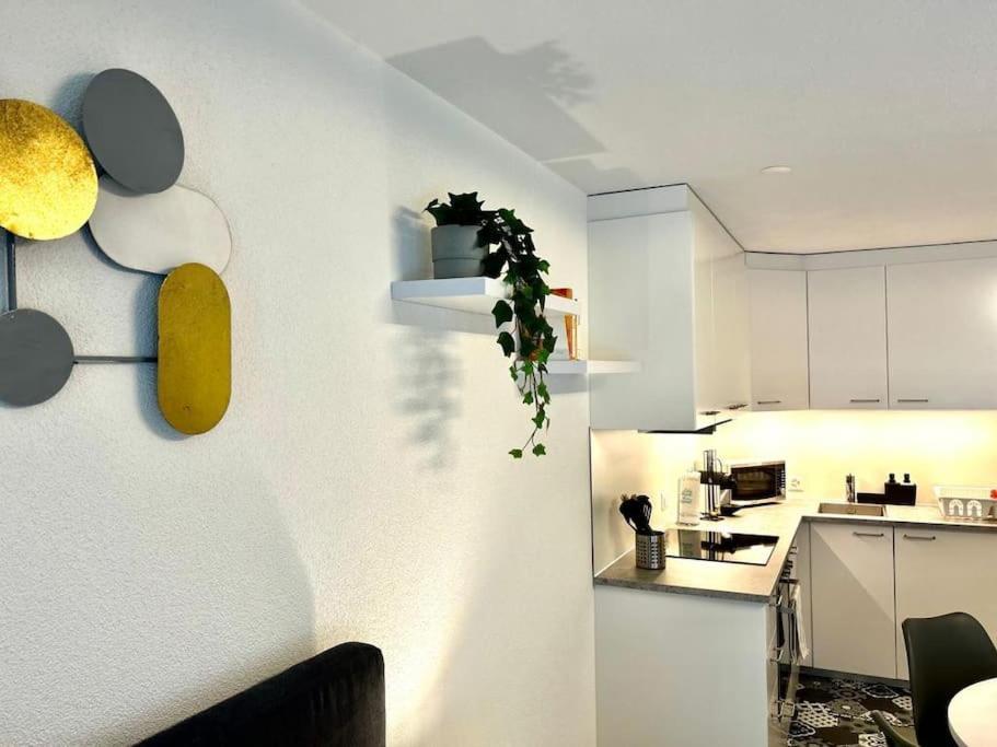Casa Ambizione Lejlighed Dietikon Eksteriør billede