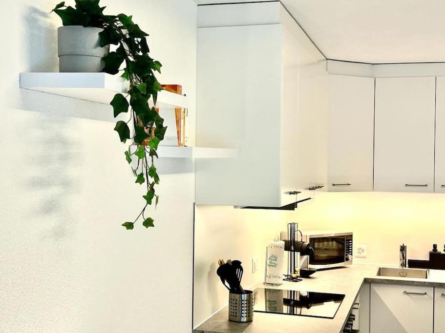 Casa Ambizione Lejlighed Dietikon Eksteriør billede